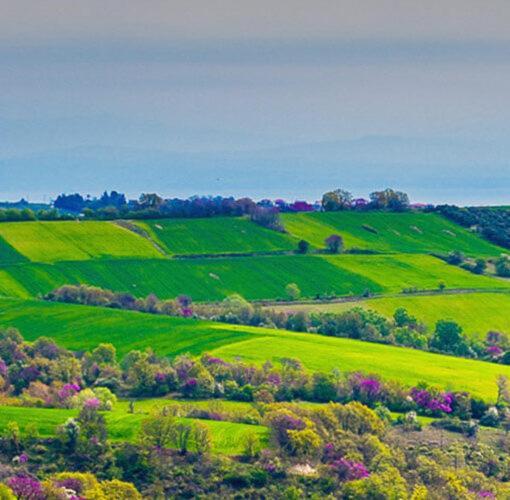 3 Hills Boutique - The Ranch Experience Hotel Trilofos Екстериор снимка