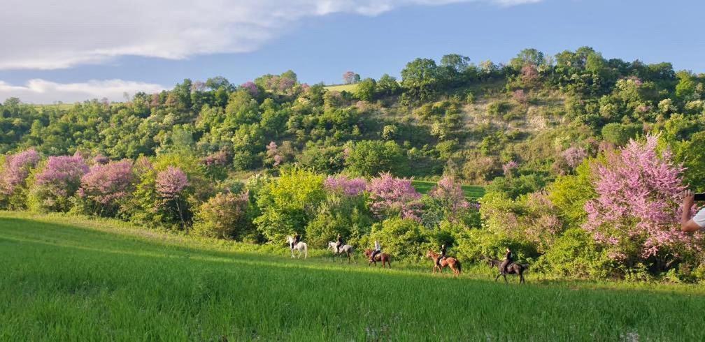 3 Hills Boutique - The Ranch Experience Hotel Trilofos Екстериор снимка